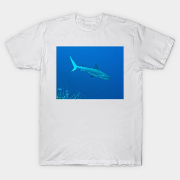 Caribbean Reef Shark T-Shirt by Scubagirlamy